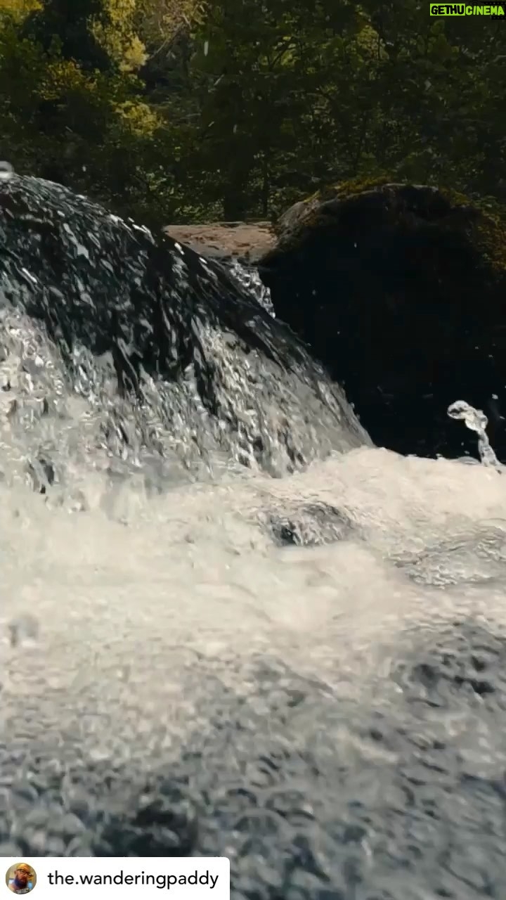 Patrice Godin Instagram - 🔥🙏🏻 Posted @withregram • @the.wanderingpaddy Officially 2 years cancer free today 🤘🏼😊 Live your best life…time is not infinite, use it wisely! Credit @lrknost ♥️#fuckcancer #quoteoftheday #soothing60secs #soothingvoice #spokenword #spokenwordpoetry #poetrylover #3amthoughts #poetryofinstagram #quotes #instapoem #instagood #poetry #poetrylovers