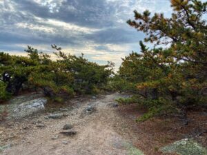 Patrice Godin Instagram - Retour sur la journée d’hier. Dorr Mountain (2X) suivi de Sand Beach et Ocean Path. Mount Desert Island et Acadia sont un sérieux coup de cœur. Certainement un classique d’automne en devenir ⛰️🌊🙏🏻