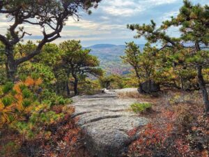 Patrice Godin Instagram - Retour sur la journée d’hier. Dorr Mountain (2X) suivi de Sand Beach et Ocean Path. Mount Desert Island et Acadia sont un sérieux coup de cœur. Certainement un classique d’automne en devenir ⛰️🌊🙏🏻