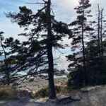 Patrice Godin Instagram - Retour sur la journée d’hier. Dorr Mountain (2X) suivi de Sand Beach et Ocean Path. Mount Desert Island et Acadia sont un sérieux coup de cœur. Certainement un classique d’automne en devenir ⛰️🌊🙏🏻 Bar Harbor and Acadia, Maine