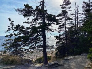 Patrice Godin Instagram - Retour sur la journée d’hier. Dorr Mountain (2X) suivi de Sand Beach et Ocean Path. Mount Desert Island et Acadia sont un sérieux coup de cœur. Certainement un classique d’automne en devenir ⛰️🌊🙏🏻
