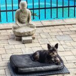 Patrice Godin Instagram - Méditation I
