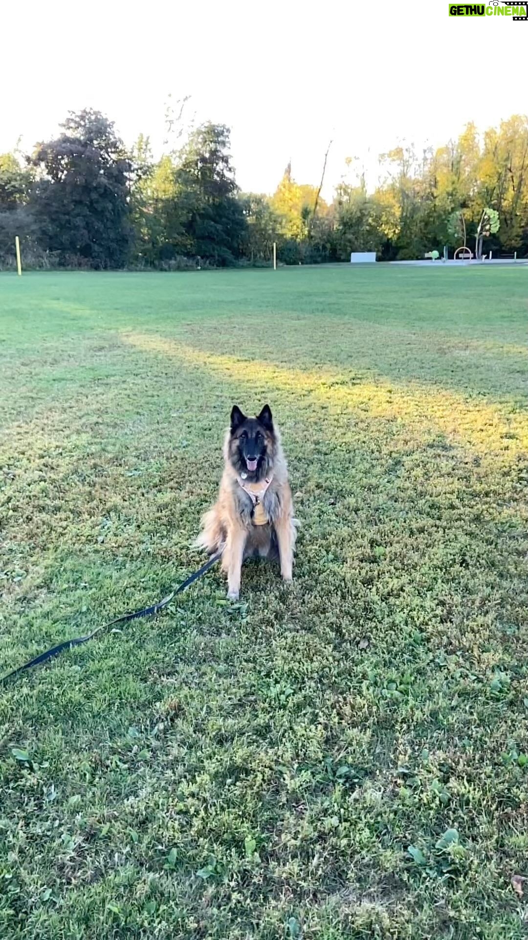 Patrice Godin Instagram - Beautiful Dalva 🧡