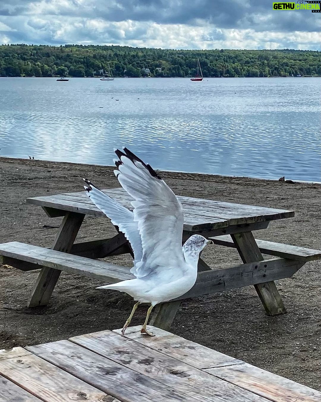 Patrice Godin Instagram - Fin d’été Magog, Quebec