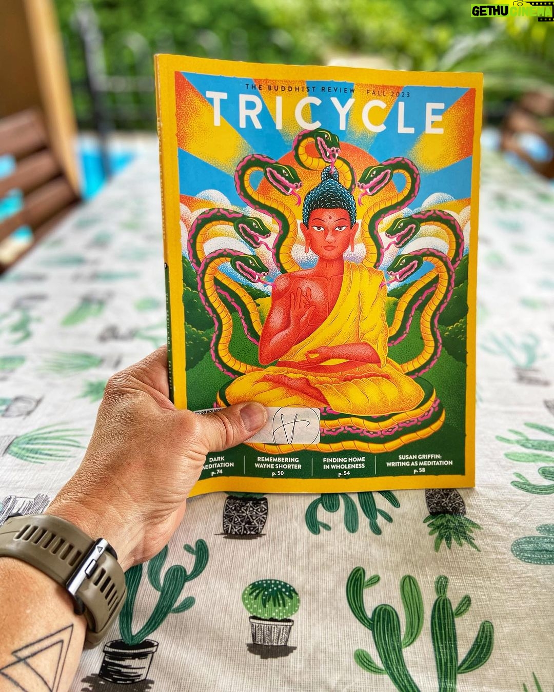 Patrice Godin Instagram - La beauté des couleurs @tricyclemag #meditation #buddhism #bouddhisme