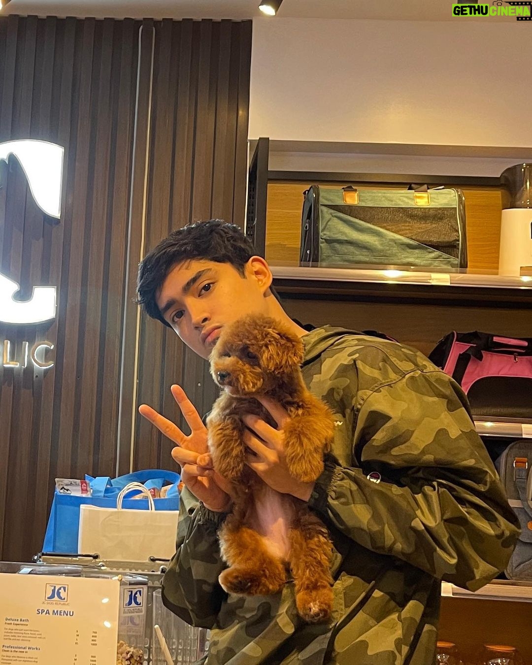 Patrick Quiroz Instagram - This is Elie. Swipe for transformation. ➡️ Been really thinking of having a dog until I knew about “hypoallergenic dogs” and poodle was number one on the list of not shedding (too much.) then @jcdogrepublic messaged me and I knew there was no backing up and so I got a poodle. I didn’t know it’s this good to have a dog on your own. They are blessings. If you feel like getting any type of breed just message @jcdogrepublic and they have the best service. 🙏🏽