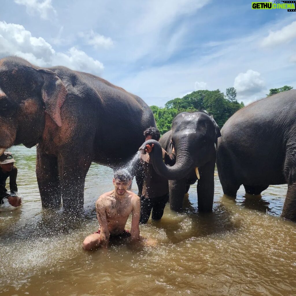 Paul Denino Instagram - Washed elephants in Thailand and forgot to post it so posting now. It sprayed my face! ElephantsWorld