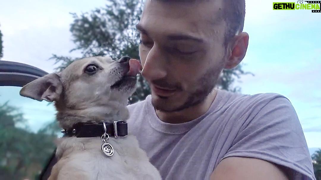 Paul Denino - 3.5K Likes - Patrick PeanutButter Denino
