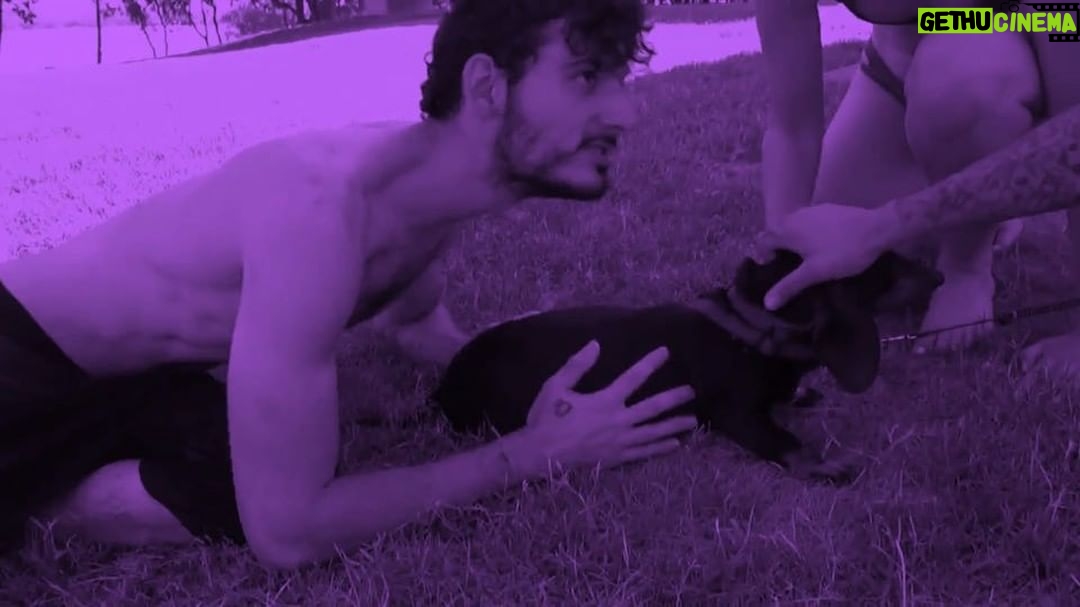 Paul Denino - 1.6K Likes -