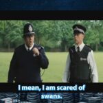 Paul Scheer Instagram - Guess you can say that’s public enemy number swan 🦢