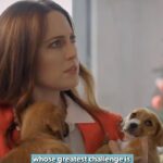 Paul Scheer Instagram - On today’s How Did This Get Made: Matinee Monday, revisit the 12 Pups of Christmas episode! Paul, June, & Jason discuss giant GPS collars, the irrelevance of the titular pups, and how everyone in this movie is probably in a cult.