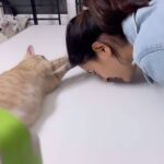 Payal Rajput Instagram – I dont see an animal .
I see a living being.
I see a friend.
I see a soul .
@mudasarmohamad can’t wait to meet Janu , I’m in love with your Fur baby 🐈🖤🐈