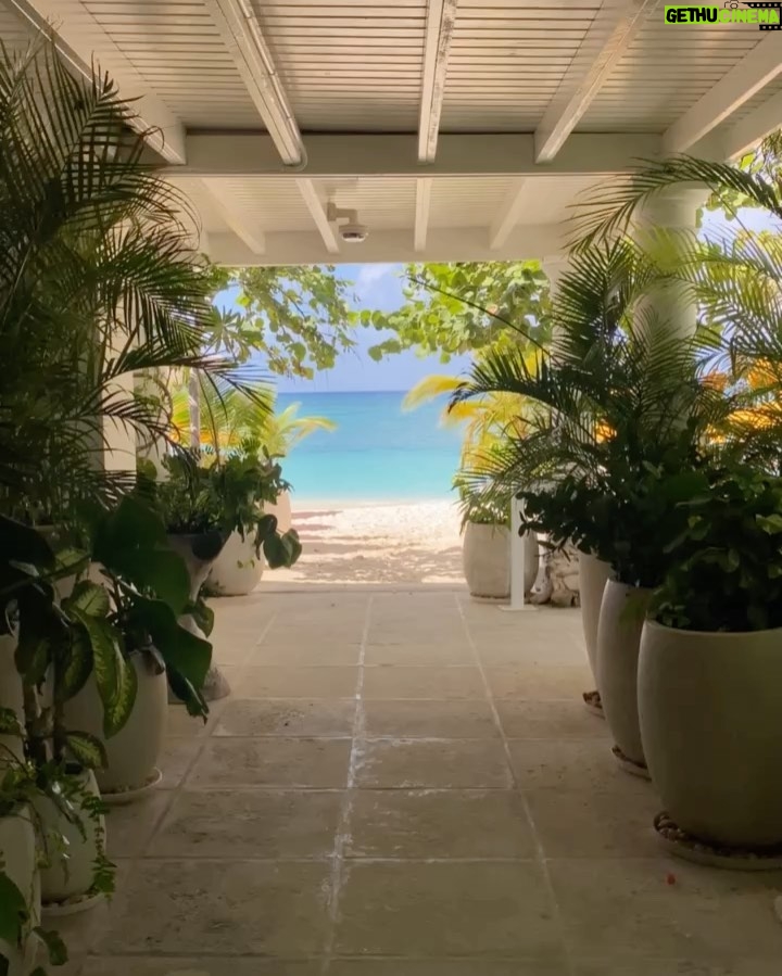 Penny Lane - 43.2K Likes - Tropical crispification #nowness