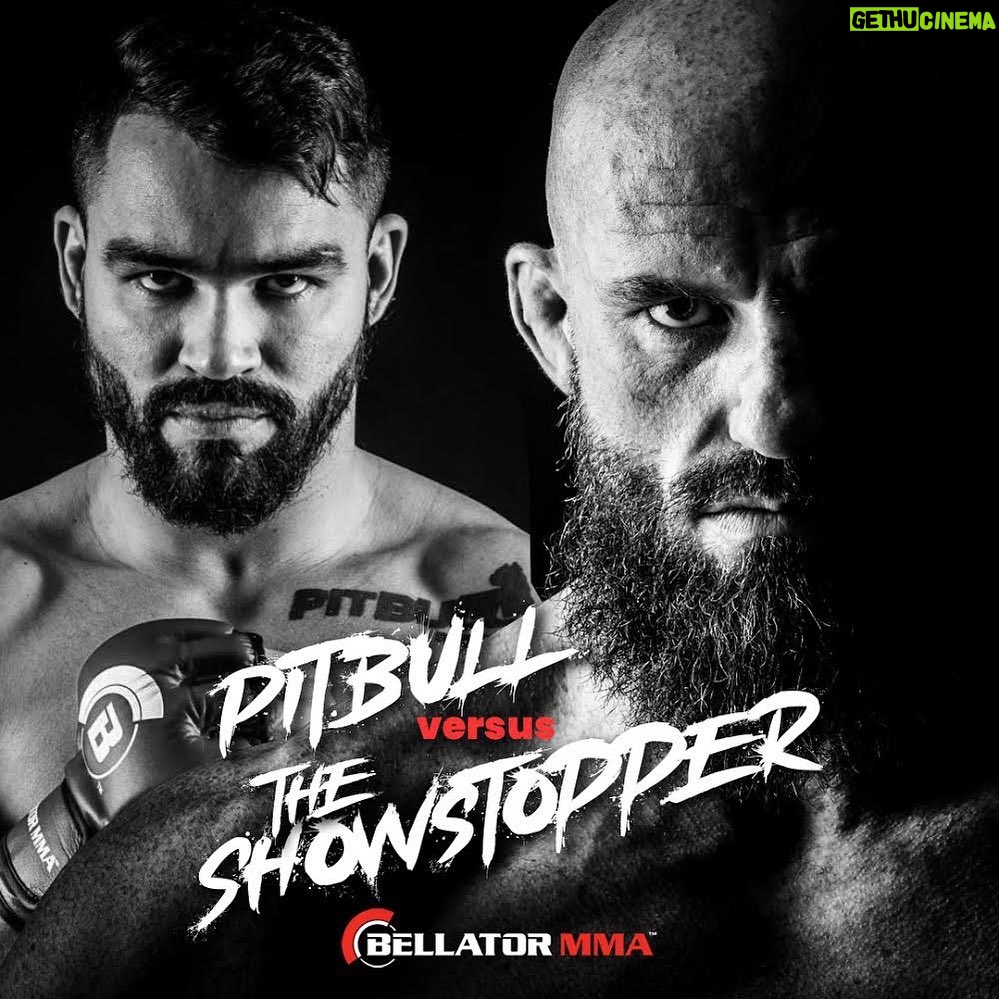 Peter Queally Instagram - I’m going to beat Patricky Pitbull in my next fight. That makes it Pitbulls 1-1 SBG. Then I’m going to beat Patricio Pitbull next, in Dublin, with a crowd. SBG wins the series 2-1.