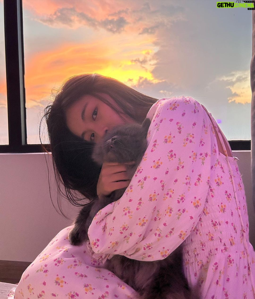 Phạm Nguyễn Lan Thy Instagram - Chiều cuối năm