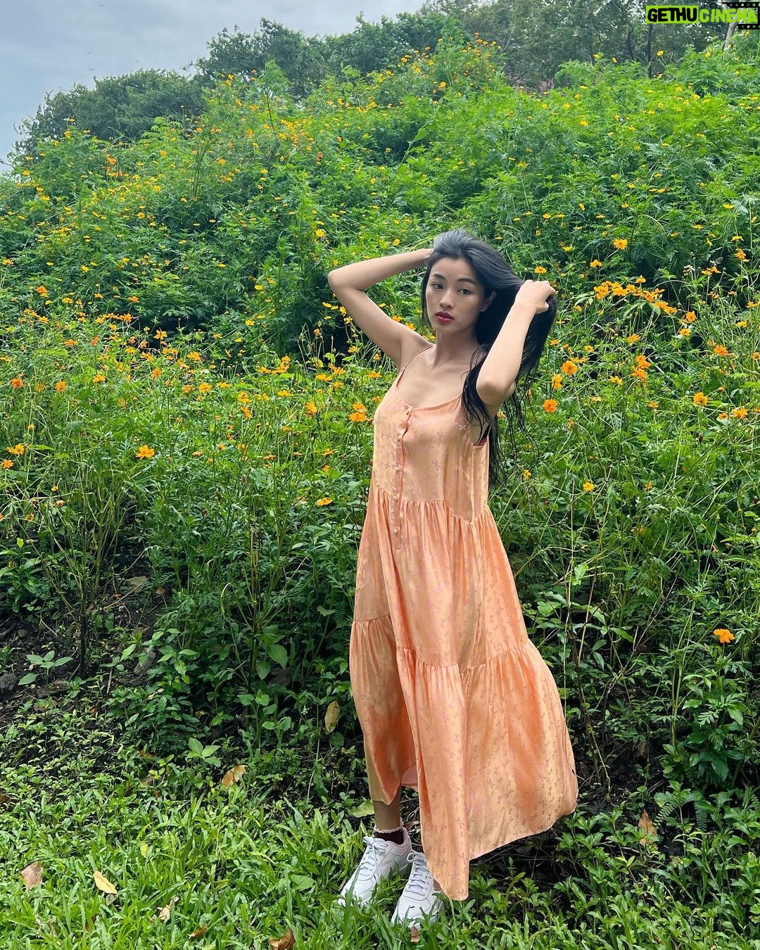 Phạm Nguyễn Lan Thy Instagram - Phú Yên, mùa mưa