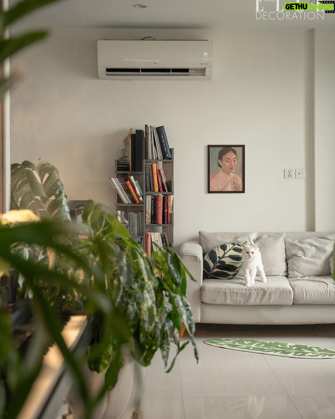 Phạm Nguyễn Lan Thy Instagram - Cha mình luôn dặn rằng, “An cư lạc nghiệp”. Cách đây 3 năm, mình rời gia đình để tự lập, hành lý lúc đó có mấy cuốn sách, chiếc xe máy và vài ba bộ đồ. Và như chú kiến tha từng chút về tổ, mình cũng có một góc nhà riêng xinh xắn rồi 🌱 Cảm ơn @elledecorationvn đã ghé qua thăm góc nhỏ nhà Thy 📸 @shanglefotos