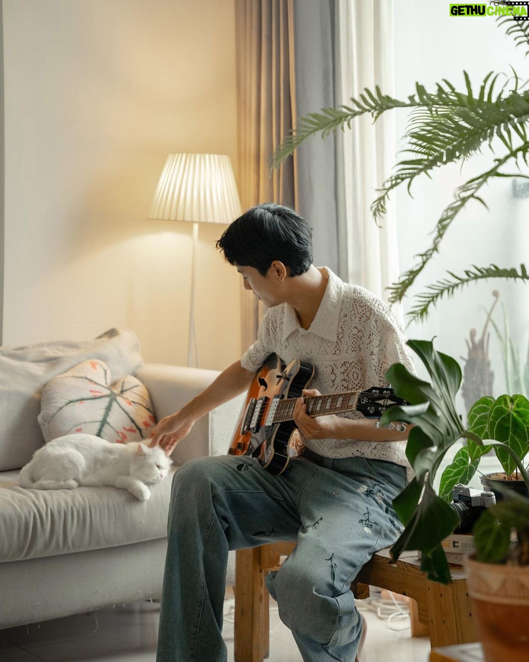 Phạm Nguyễn Lan Thy Instagram - Cha mình luôn dặn rằng, “An cư lạc nghiệp”. Cách đây 3 năm, mình rời gia đình để tự lập, hành lý lúc đó có mấy cuốn sách, chiếc xe máy và vài ba bộ đồ. Và như chú kiến tha từng chút về tổ, mình cũng có một góc nhà riêng xinh xắn rồi 🌱 Cảm ơn @elledecorationvn đã ghé qua thăm góc nhỏ nhà Thy 📸 @shanglefotos