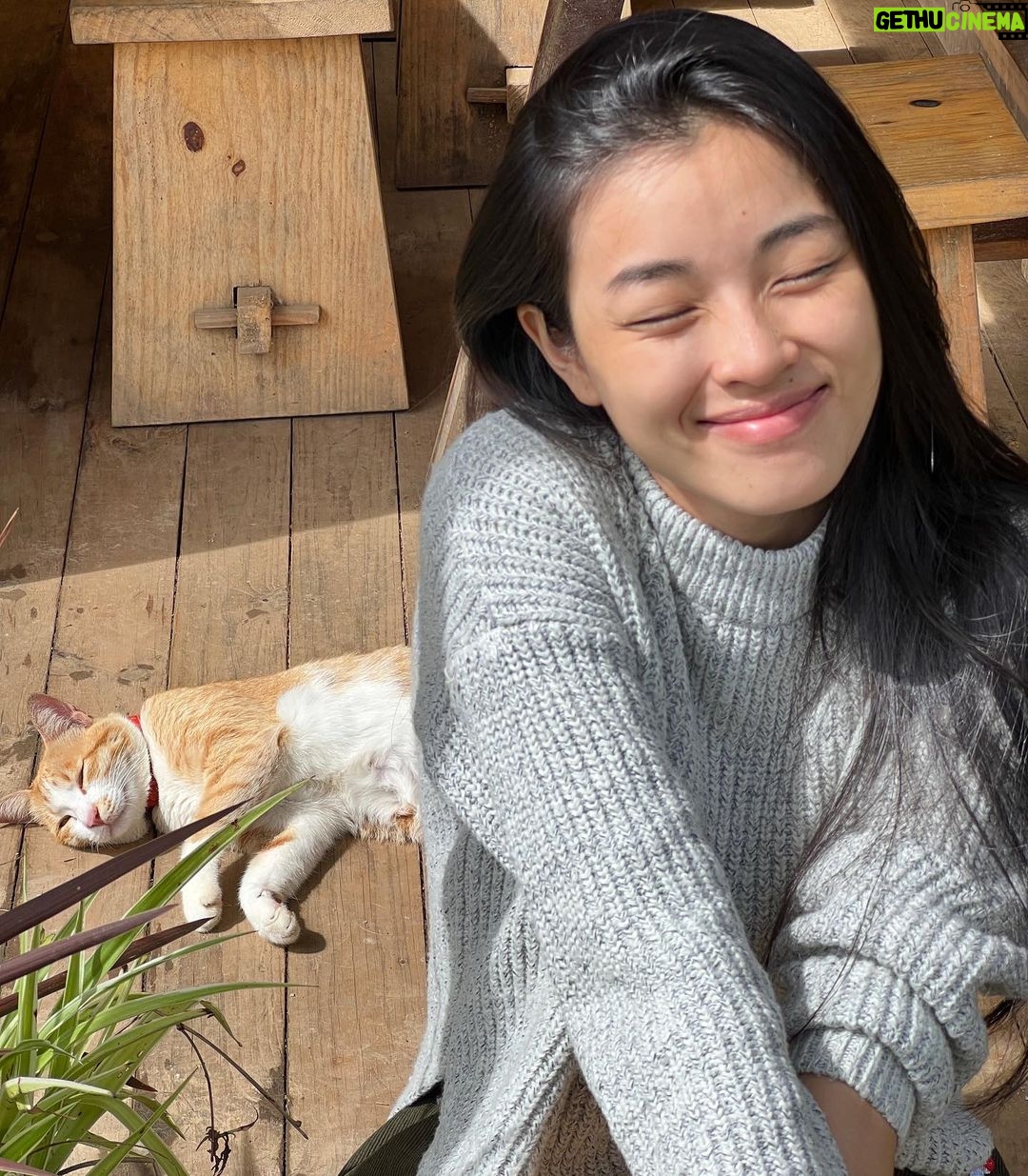 Phạm Nguyễn Lan Thy Instagram - Đầu tháng tự hứa với mình sẽ làm việc chăm chỉ, chỉ để đổi lại một buổi sáng thư thái nơi núi rừng, ăn sáng pha cà phê, thong thả đọc vài trang sách, không phải lo nghĩ về thông báo điện thoại. Tôi gọi đây là thư thái. Cách gọi khác của “làm biếng có kế hoạch”. @healingretreatdalat
