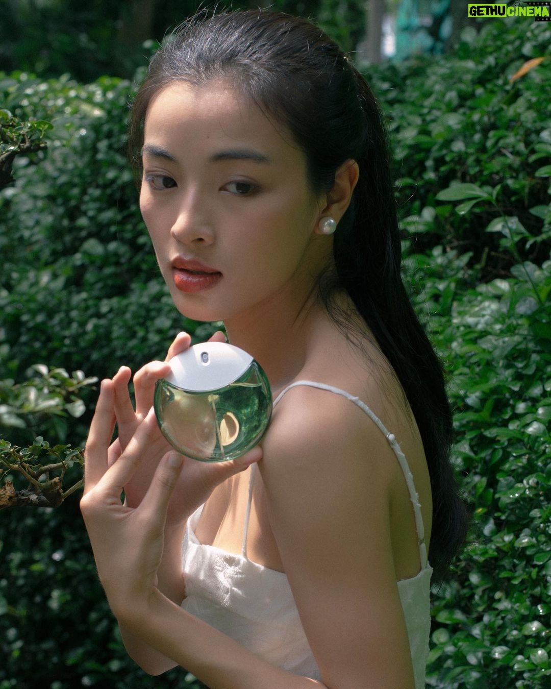 Phạm Nguyễn Lan Thy Instagram - Issey Miyake A Drop D’Issey Essentielle là mùi hương mà Thy thích nhất trong mùa này. Issey Miyake đã mô tả hương thơm vừa rực rỡ vừa thanh khiết, lấy cảm hứng từ làn sương sớm giữa khu rừng khi những tia nắng len lỏi qua lá cây. Cầm trên tay “giọt nước tinh khiết” giữa khu vườn xanh nắng, Thy thả mình trong hương thơm của lá non xanh, hoa mộc lan, xạ hương tạo. Để cho hương hoa tươi mát thấm đẫm hơi sương dắt mình vào trong không gian của tự nhiên, nhẹ nhàng như hương thơm của Nước Cảm ơn Issey Miyake đã mang cả một buổi sớm trong lành vào trong những nốt hương tuyệt diệu. #followthedrops