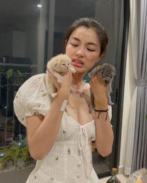 Phạm Nguyễn Lan Thy Instagram - Khi bạn nuôi tới con mèo thứ 19:
