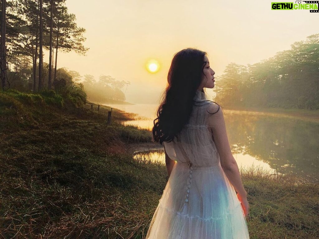 Phạm Nguyễn Lan Thy Instagram - Đà Lạt sớm mù sương Da Lat