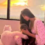 Phạm Nguyễn Lan Thy Instagram – Chiều cuối năm