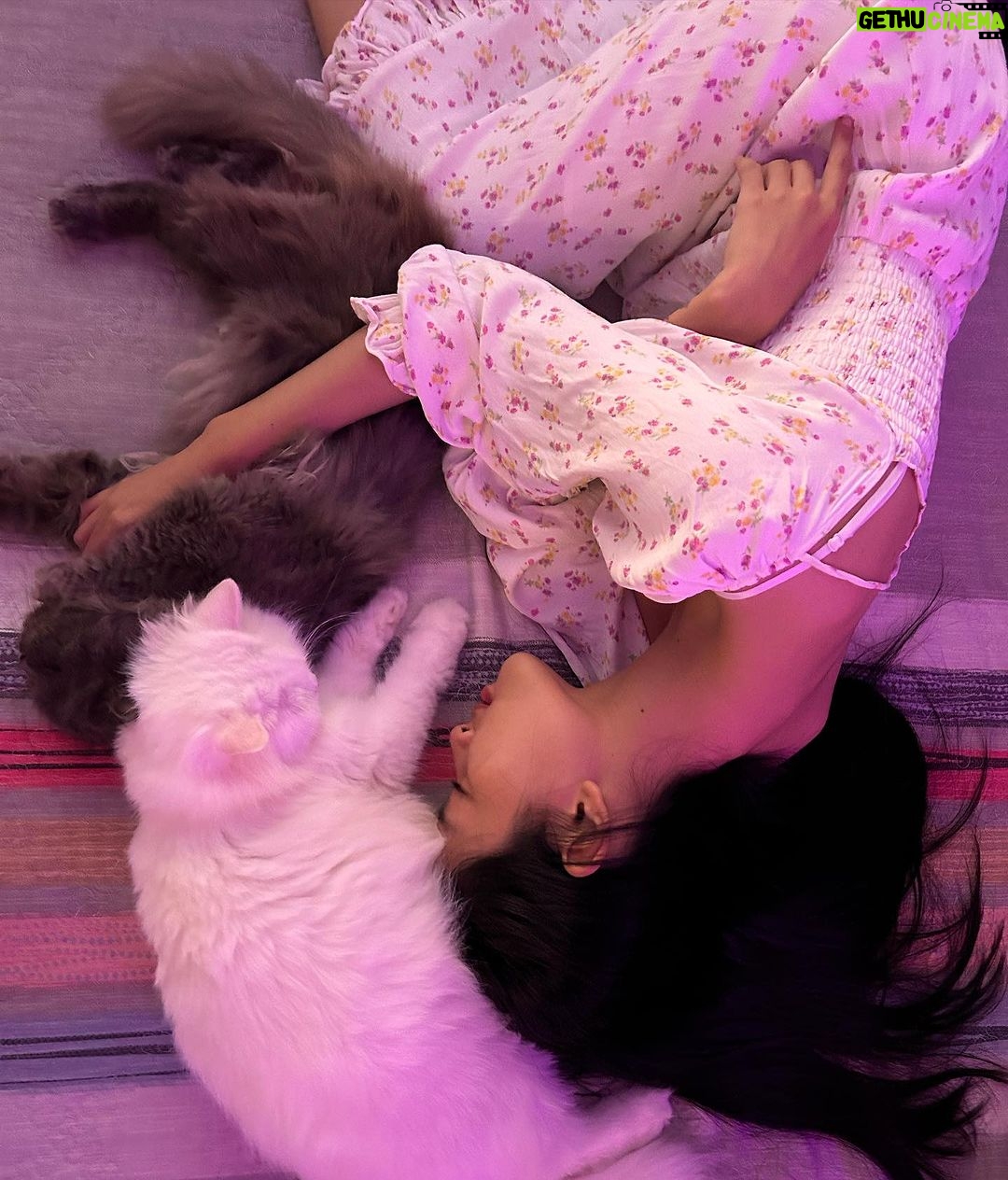 Phạm Nguyễn Lan Thy Instagram - Chiều cuối năm
