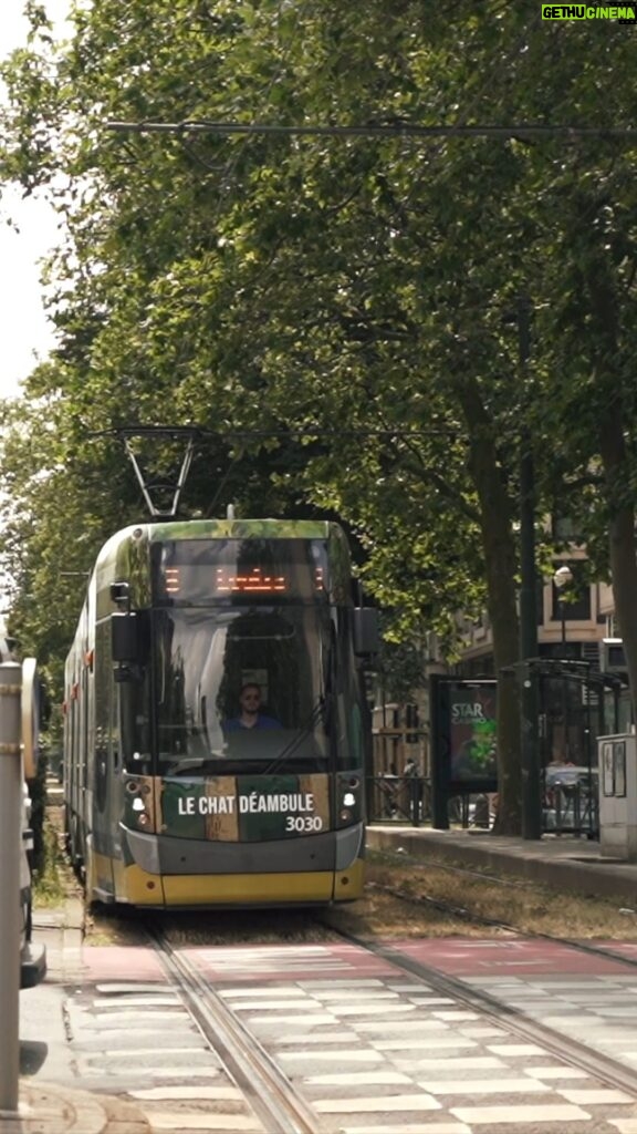 Philippe Geluck Instagram - Rendez-vous à l’expo Le Chat Déambule à bord du tram Le Chat. Le voyage commence ici. L’exposition est gratuite mais n’oubliez pas de payer votre trajet. #LeChat #stib #lechatdeambule #humour