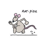 Philippe Geluck Instagram - Voici la suite sur la série « Rat ». On continue ou vous en avez rats-le-bol ?