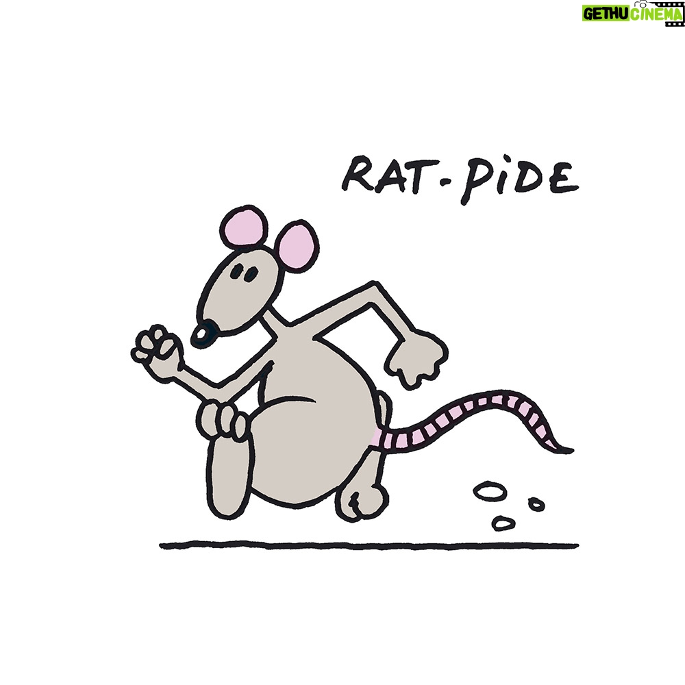 Philippe Geluck Instagram - Voici la suite sur la série « Rat ». On continue ou vous en avez rats-le-bol ?