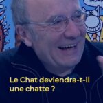 Philippe Geluck Instagram - Le Chat deviendra-t-il un jour une chatte ? 🙄 Le Chat fête ses 40 ans 🎂 ! Pour l'occasion Philippe Geluck propose son tout nouvel album " Le Chat et les 40 bougies". Il était l'invité de @charlottedekoker dans la matinale Week-end Première pour en parler. Elle a profité de l'occasion pour lui demander si le Chat pourrait peut être un jour se transformer en Chatte ? 🤔 🎙️ Interview complète dans le lien en bio #lechat #geluck #philippegeluck La Première - RTBF