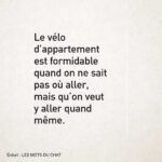 Philippe Geluck Instagram - Une citation du Chat difficile à contredire.