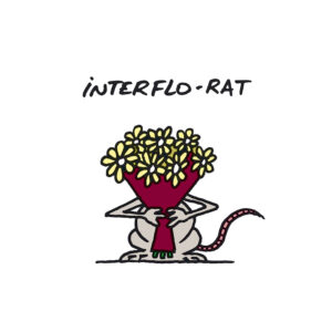 Philippe Geluck Instagram - Voici la suite sur la série « Rat ». On continue ou vous en avez rats-le-bol ?