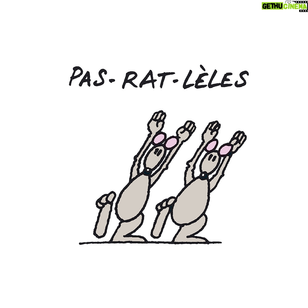 Philippe Geluck Instagram - Voici la suite sur la série « Rat ». On continue ou vous en avez rats-le-bol ?