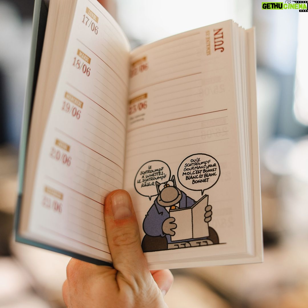 Philippe Geluck Instagram - Amis « fan » de la page du Chat, voici quelques gags tirés des calendriers (trois formats disponibles) du Chat. Mais comme vous risquez de le recevoir bientôt sous le sapin, vous ferez mine de découvrir ces gags en riant à gorge déployée.