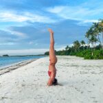 Pimpinha Jardim Instagram - Maldivas 🌴 Maldives
