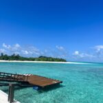 Pimpinha Jardim Instagram - Maldivas 🌴 Maldives