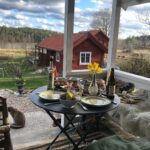 Plura Jonsson Instagram - Nu har Mauro rest sig ur sjuksängen och släppt en ny singel, jättebra men jag vet inte vilken det är, vet du?