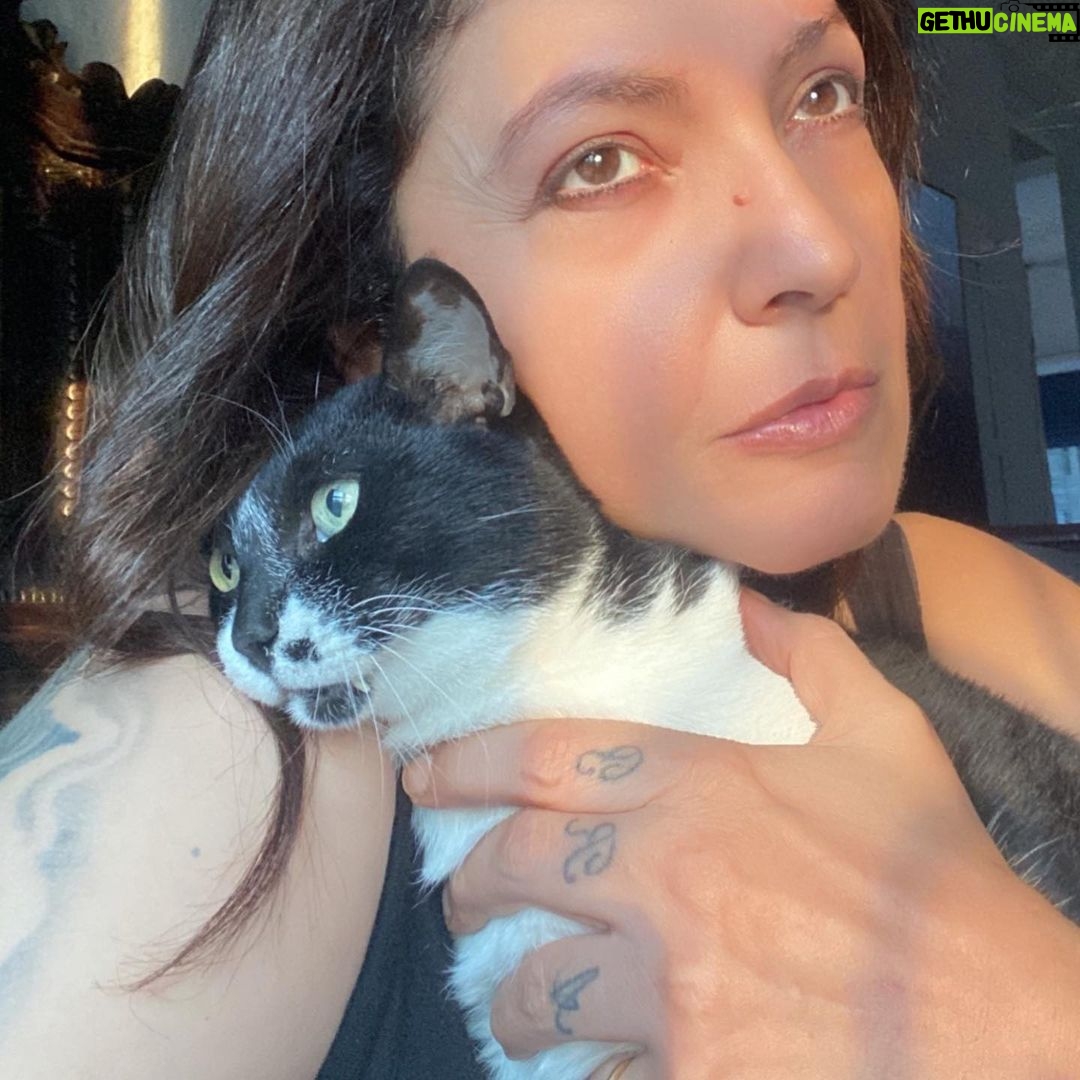 Pooja Bhatt Instagram - To live in this world you must be able to do three things: to love what is mortal; to hold it against your bones knowing your own life depends on it; and,when the time comes to let it go, to let it go.. #maryoliverpoetry #adoptdontshop