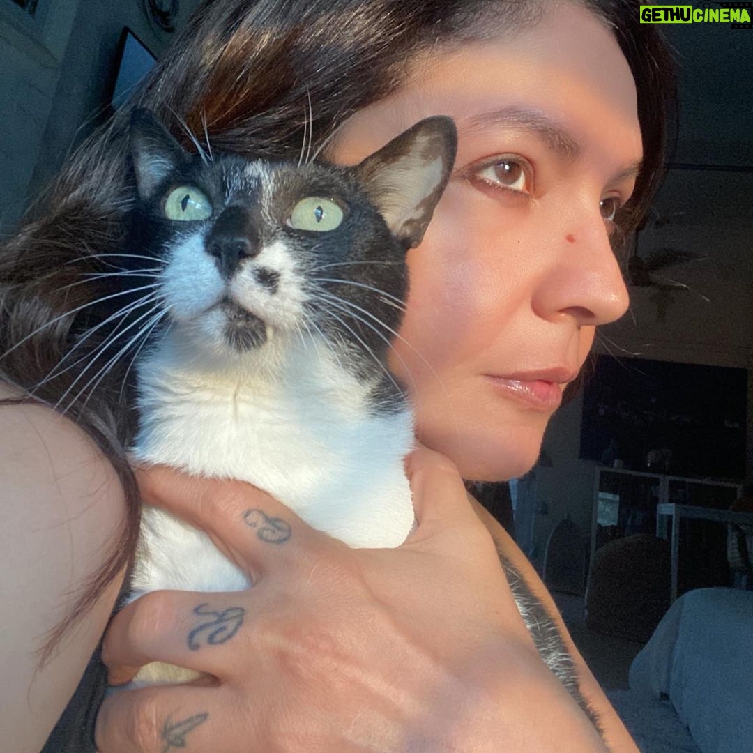 Pooja Bhatt Instagram - To live in this world you must be able to do three things: to love what is mortal; to hold it against your bones knowing your own life depends on it; and,when the time comes to let it go, to let it go.. #maryoliverpoetry #adoptdontshop