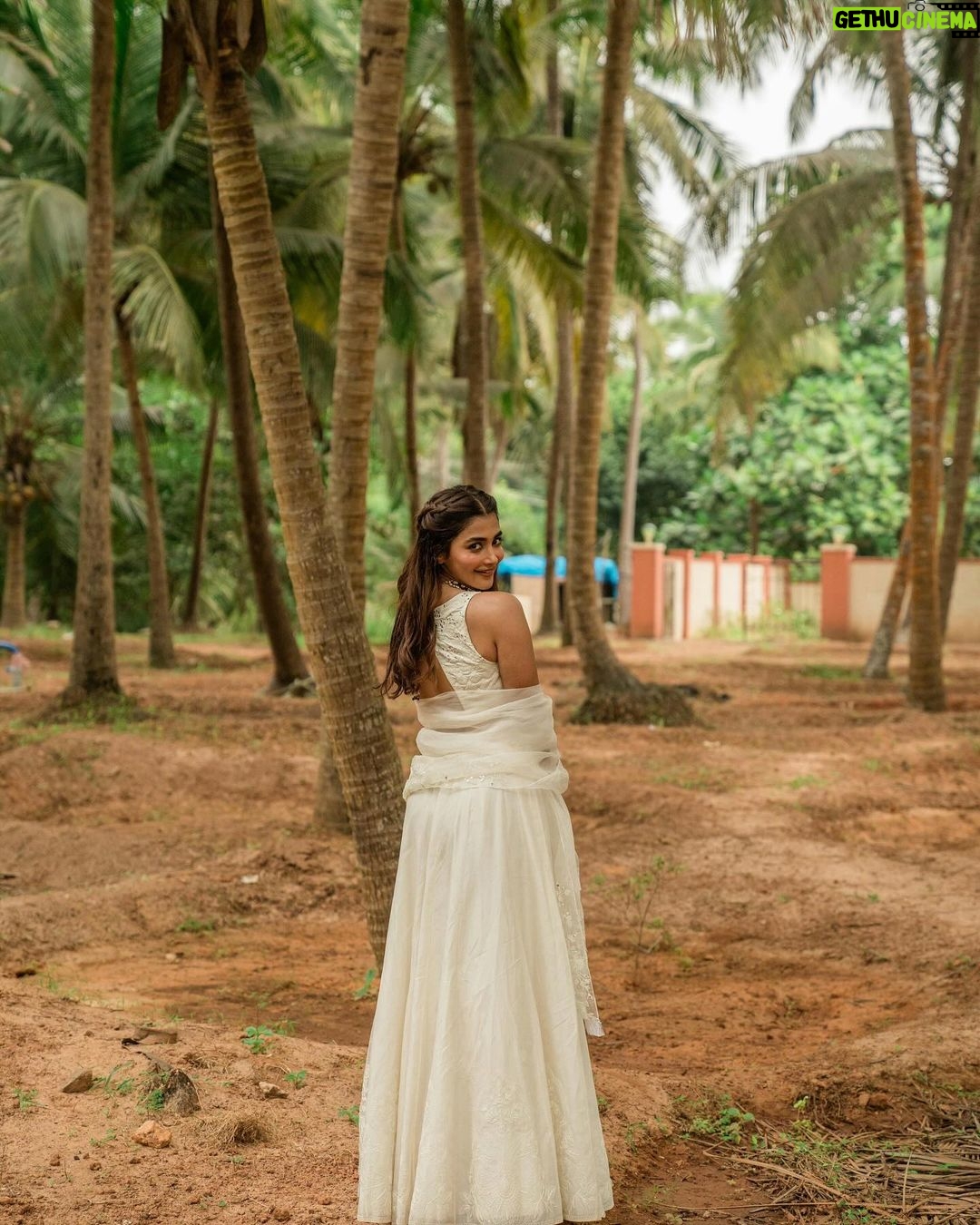 Pooja Hegde Instagram - Coconut 🥥☺️ Mangalore,Karnataka