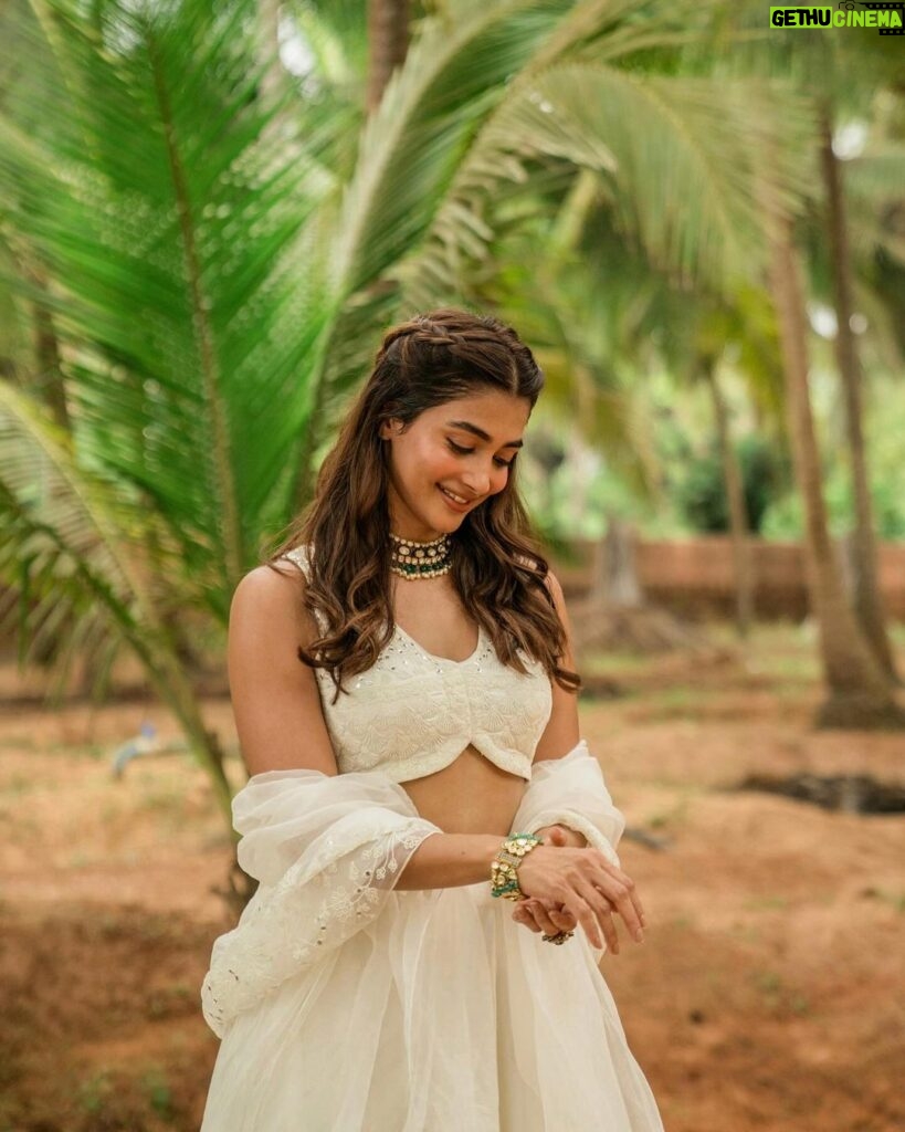 Pooja Hegde Instagram - Coconut 🥥☺️ Mangalore,Karnataka