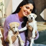 Pooja Sawant Instagram - Welcoming new members in the family ♥️🧿🌸♾️ Adopt ♥️ don’t shop Meet meet our ‘ Bunty & bubbly’ #indiebreed