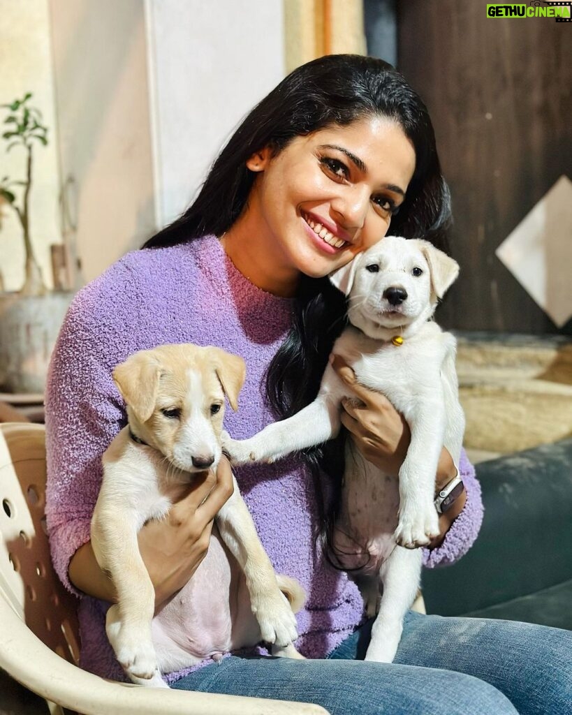 Pooja Sawant Instagram - Welcoming new members in the family ♥️🧿🌸♾️ Adopt ♥️ don’t shop Meet meet our ‘ Bunty & bubbly’ #indiebreed