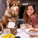 Pranati Rai Prakash Instagram - Here’s what the Birthday month has been! 🤍🎂💥 Gratitude! 🫶🏻 Still have a few days to go, however this is going to be an isolation time, zoning into the next phase… Thank you to all the loved ones who made it special! 🤗😚