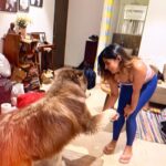Pranati Rai Prakash Instagram - The new year is coming! 🎄 Past week highlights! ♥️ Lots of gyaan from guruji during chats post Kathak classes, also, today I made chai for us; flexing at gym; baby sitting a friend’s dog; auditions and meetings da da… and the usual reading, writing the diary, lots of meditation time and finally introspecting all the experiences the year has given, noting major lessons and excited to move to what’s next! 💌🙌👻🤍