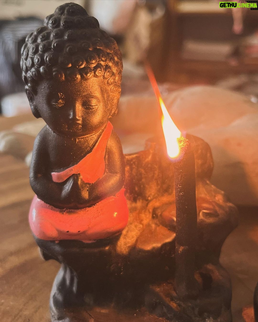 Pranati Rai Prakash Instagram - The new year is coming! 🎄 Past week highlights! ♥️ Lots of gyaan from guruji during chats post Kathak classes, also, today I made chai for us; flexing at gym; baby sitting a friend’s dog; auditions and meetings da da… and the usual reading, writing the diary, lots of meditation time and finally introspecting all the experiences the year has given, noting major lessons and excited to move to what’s next! 💌🙌👻🤍