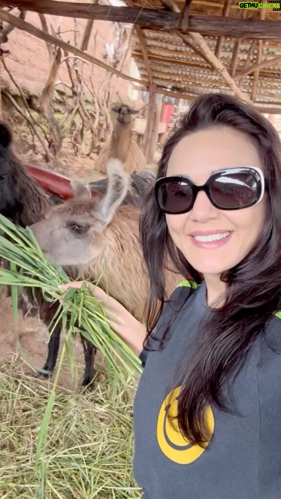 Preity Zinta Instagram - What an amazing trip this has been ❤️❤️ Amazing people, amazing food, amazing animals😂 …. Amazing Peru 🇵🇪💕🤩 A big thank you to my amazing hubby for planning this surprise trip for me. I love you 😍 #pztravel #AmazingPeru #Peru #Ting Cusco, Peru - South America