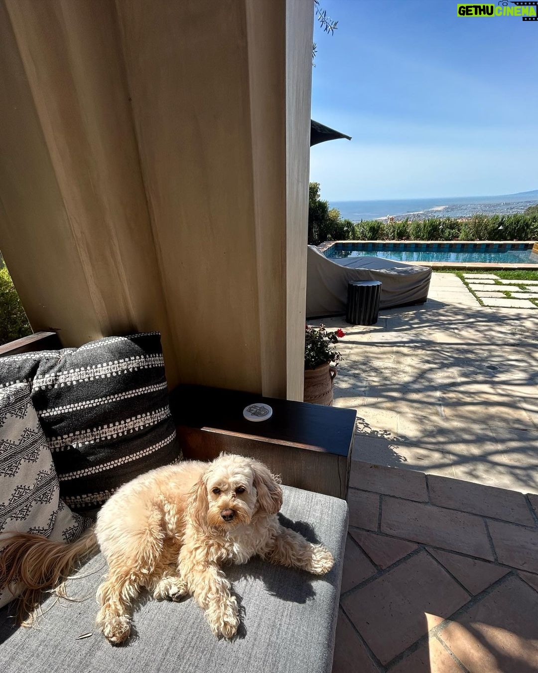 Presley Ryan Instagram - this spring 🌷🌻